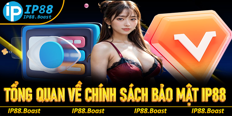 Tổng quan chính sách bảo mật IP88
