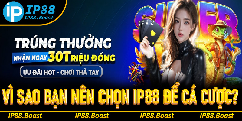 Vì sao bạn nên chọn IP88 để cá cược?