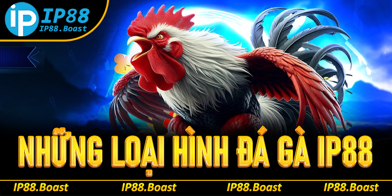 Những loại hình đá gà IP88 cực hấp dẫn để trải nghiệm